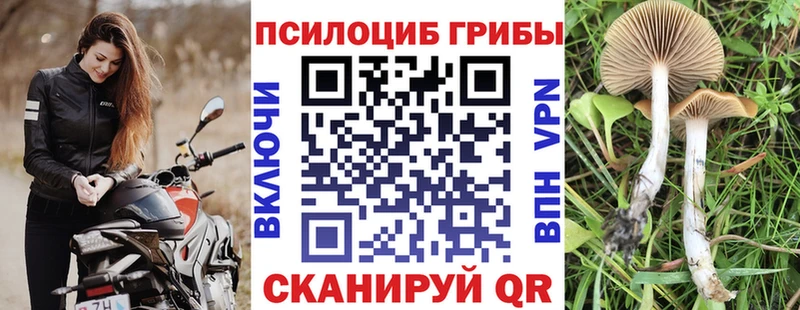 Псилоцибиновые грибы ЛСД Тверь