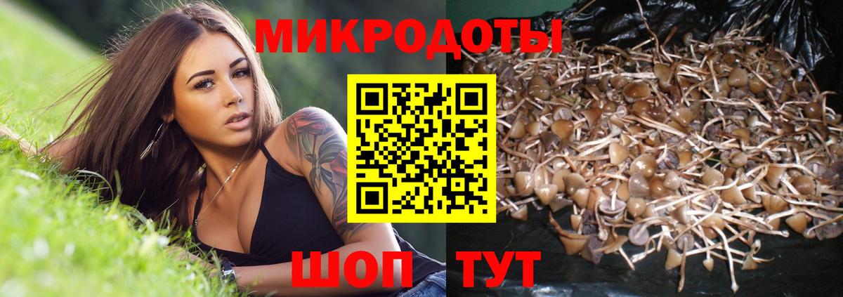 Псилоцибиновые грибы Cubensis  Вход с VPN  Галлюциногенные грибы MAGIC MUSHROOMS  Тверь 