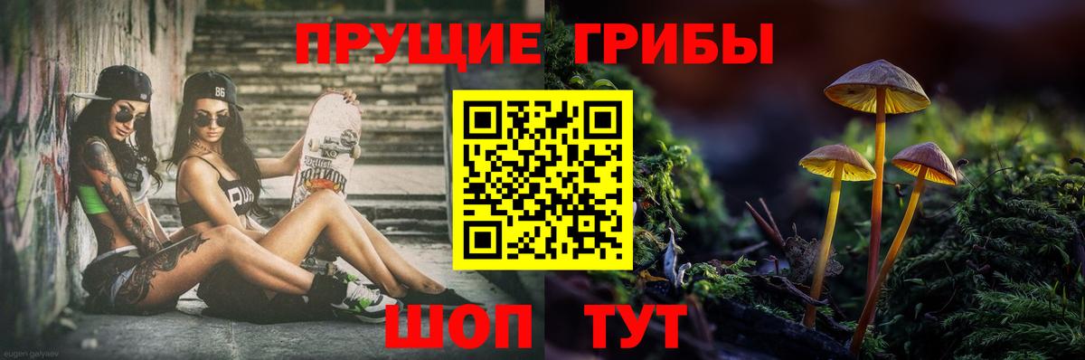 Галлюциногенные грибы Cubensis Тверь